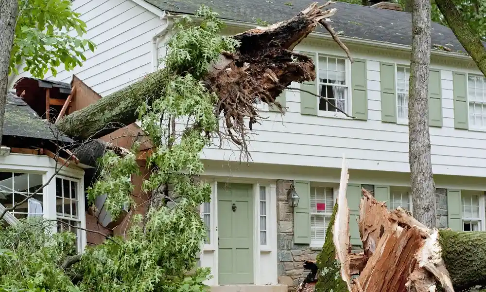 With over 65+ years of experience working in the roofing contracting industry in Fort Worth Texas, there is no job we cannot handle. No matter how big or small your roofing project is, we can get your residential and commercial roofing done right from the get go.